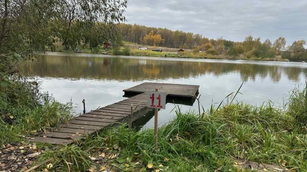 Сектор № 11